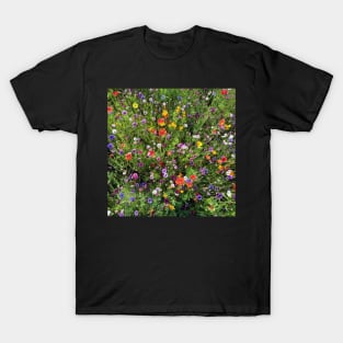 wildflowers from above 1 T-Shirt